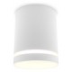 Накладной светильник Ambrella Light TN3202 TN