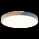 Накладной светильник Loft it 10004/36 Grey Axel 3