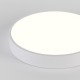 Накладной светильник Natali Kovaltseva LED LAMPS 81112/5C