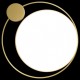 Накладной светильник Loft it 10063 Mike