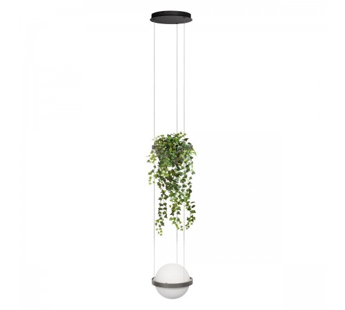 Подвесной светильник Loft it 10121/1P Dark grey Jardin
