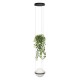 Подвесной светильник Loft it 10121/1P Dark grey Jardin