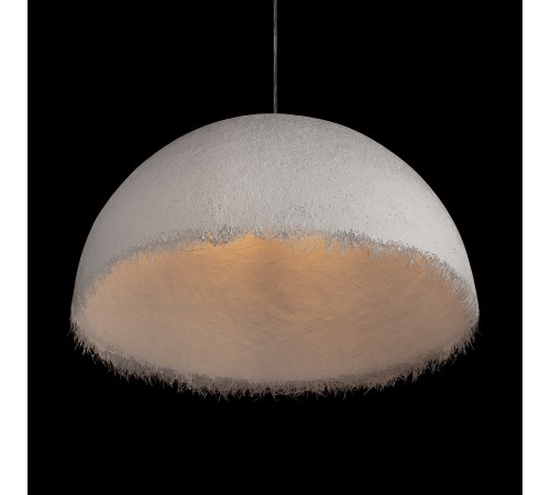 Подвесной светильник Loft it 10372/800 Plancton