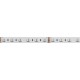 Лента светодиодная Arlight 019096(2) RT открытая