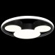 Накладной светильник Loft it 10165 Mike