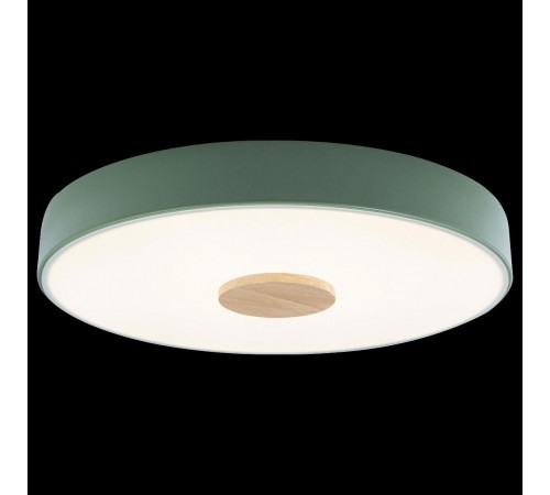 Накладной светильник Loft it 10003/24 Green Axel 2 Накладной светильник Loft it 10003/24 Green Axel 2