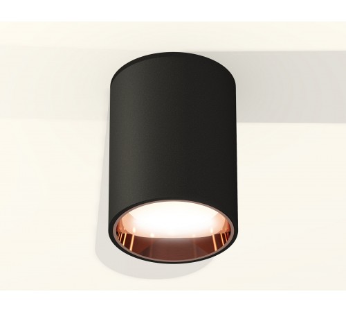 Накладной светильник Ambrella Light XS6313024 XS