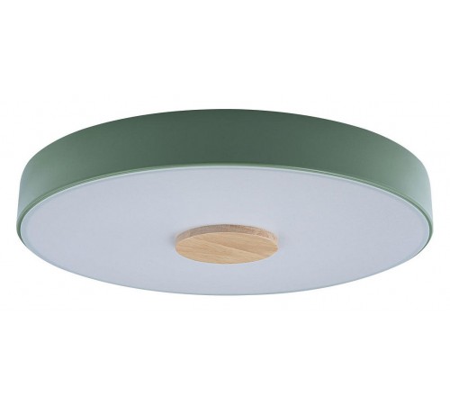 Накладной светильник Loft it 10003/24 Green Axel 2 Накладной светильник Loft it 10003/24 Green Axel 2