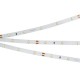 Лента светодиодная Arlight 019918(2) RT открытая