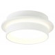 Накладной светильник Ambrella Light TN5383 TN