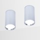Накладной светильник Ambrella Light TN219 TN