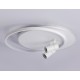 Накладной светильник Ambrella Light FL51391 FL