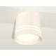 Накладной светильник Ambrella Light XS8110007 XS