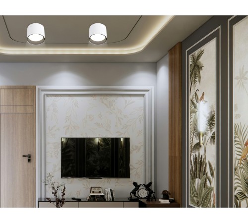 Накладной светильник Ambrella Light TN5303 TN Накладной светильник Ambrella Light TN5303 TN