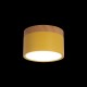 Накладной светильник Loft it 10162 Yellow Grape