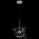 Подвесной светильник Loft it 2027-P4 Bolle