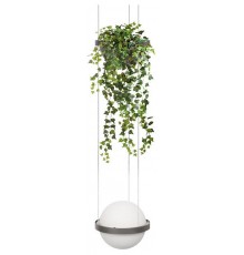Подвесной светильник Loft it 10121/1P Dark grey Jardin