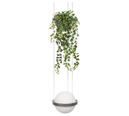Подвесной светильник Loft it 10121/1P Dark grey Jardin