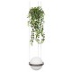 Подвесной светильник Loft it 10121/1P Dark grey Jardin