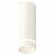 Накладной светильник Ambrella Light XS6342041 XS