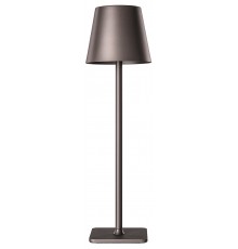 Настольная лампа декоративная Kink Light 07203-T,19 Никки