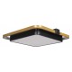 Накладной светильник Loft it 10171 Mike