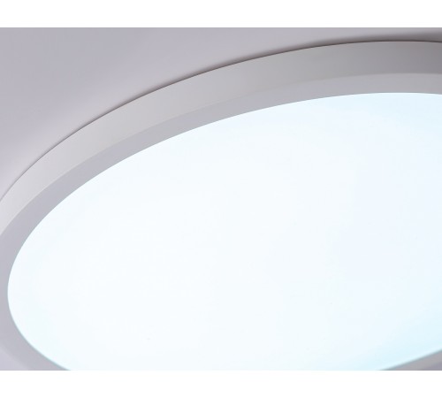 Накладной светильник Ambrella Light FZ1955 FZ Накладной светильник Ambrella Light FZ1955 FZ