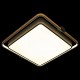 Накладной светильник Loft it 10172 Mike