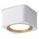 Накладной светильник Ambrella Light TN70831 TN