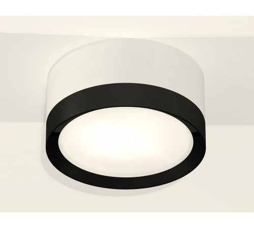 Накладной светильник Ambrella Light XS8101002 XS Накладной светильник Ambrella Light XS8101002 XS