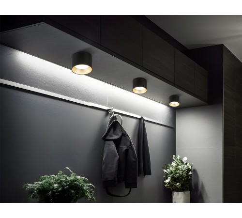 Накладной светильник Ambrella Light TN52887 TN Накладной светильник Ambrella Light TN52887 TN