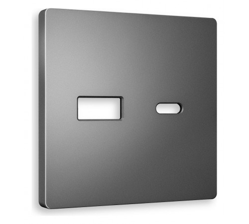 Накладка для розетки type A и C Ambrella Volt AP6610 Quant Накладка для розетки type A и C Ambrella Volt AP6610 Quant