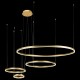 Подвесной светильник Loft it 10017/4S Ring