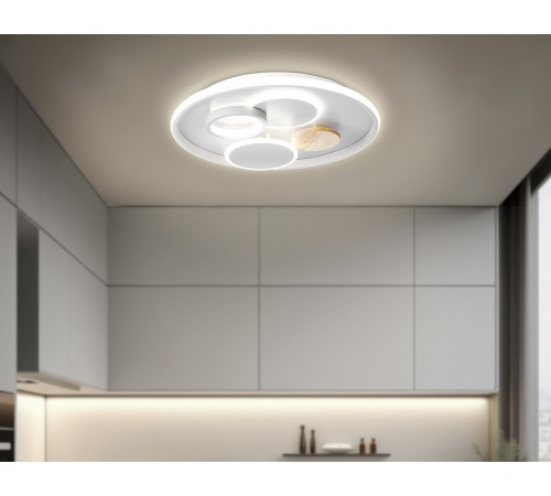 Накладной светильник Ambrella Light FL4803 FL Накладной светильник Ambrella Light FL4803 FL