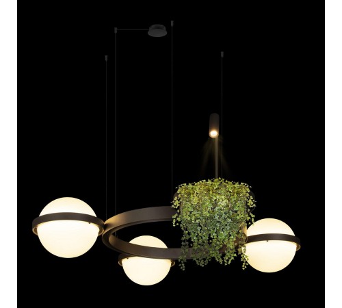 Подвесная люстра Loft it 10121/3 Dark grey Jardin