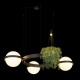 Подвесная люстра Loft it 10121/3 Dark grey Jardin