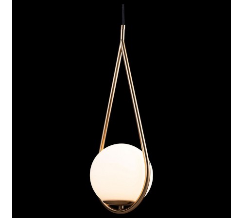 Подвесной светильник Loft it LOFT2599-A Glob Подвесной светильник Loft it LOFT2599-A Glob