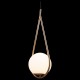 Подвесной светильник Loft it LOFT2599-A Glob