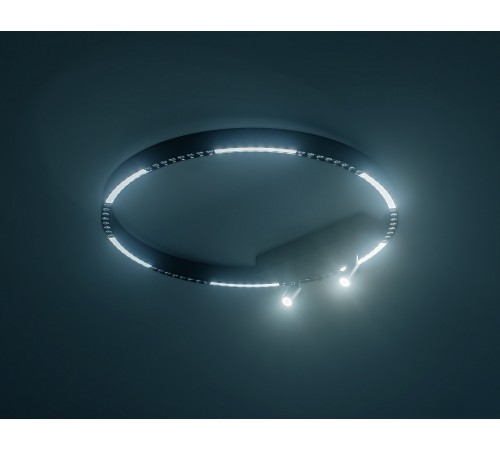 Накладной светильник Ambrella Light FL5808 FL Накладной светильник Ambrella Light FL5808 FL