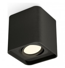Накладной светильник Ambrella Light XS7841010 XS