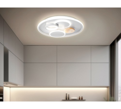Накладной светильник Ambrella Light FL4803 FL Накладной светильник Ambrella Light FL4803 FL