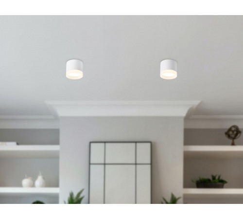 Накладной светильник Ambrella Light TN5365 TN Накладной светильник Ambrella Light TN5365 TN