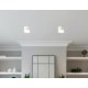 Накладной светильник Ambrella Light TN5365 TN