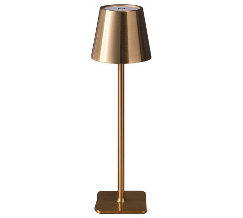 Настольная лампа декоративная Kink Light 07203-T,20 Никки