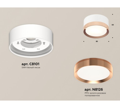 Накладной светильник Ambrella Light XS8101006 XS Накладной светильник Ambrella Light XS8101006 XS