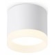 Накладной светильник Ambrella Light TN5365 TN