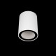 Накладной светильник Loft it 10344 White Rush