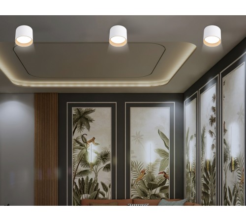 Накладной светильник Ambrella Light TN5304 TN Накладной светильник Ambrella Light TN5304 TN