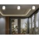 Накладной светильник Ambrella Light TN5304 TN