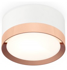 Накладной светильник Ambrella Light XS8101006 XS